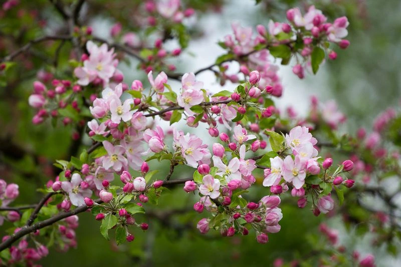 Победитель розыгрыша книги