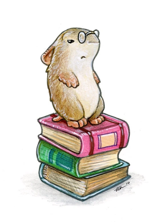 Победитель розыгрыша книги!