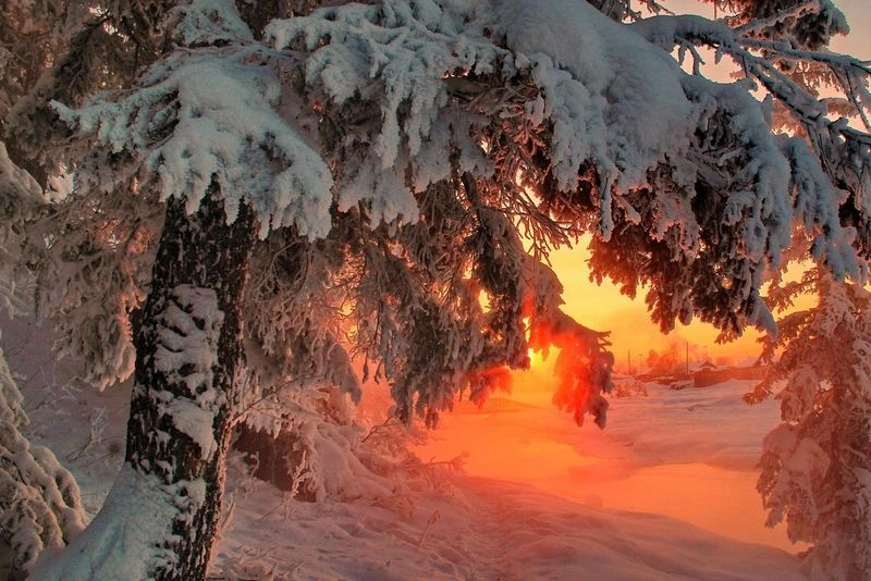 Мне должна была понравиться эта книга!