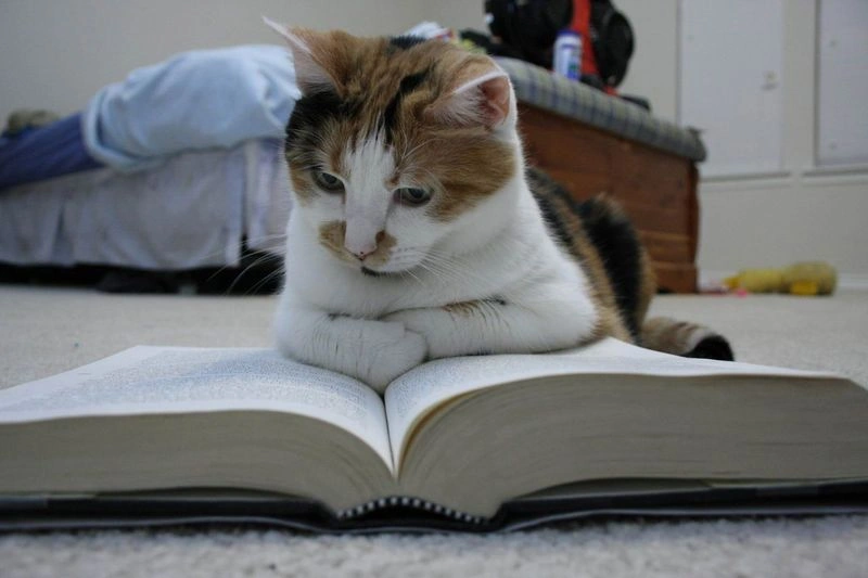 7 моих плохих книжных привычек