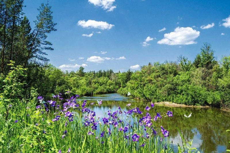 О любви и верности