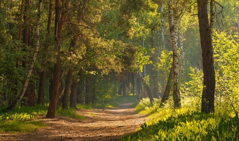 Дела насущные