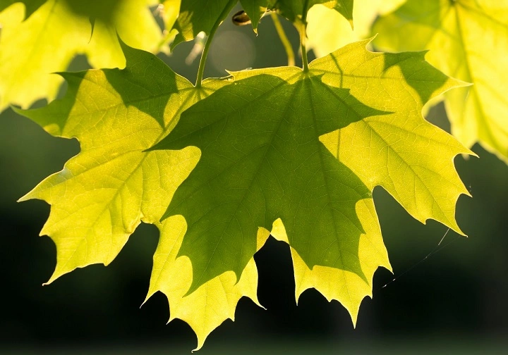 Начинаю секретный проект