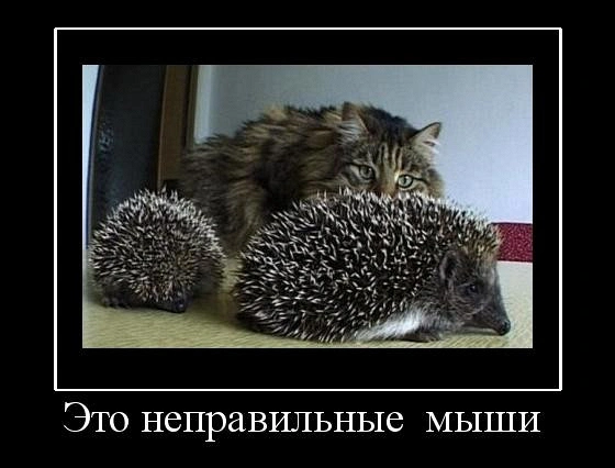 Учет внешней среды: настоящую цель не выбирают