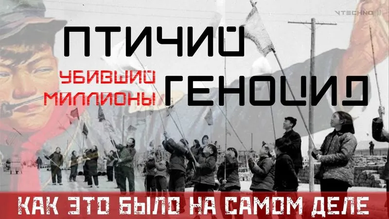ПТИЧИЙ ГЕНОЦИД ПО-КИТАЙСКИ