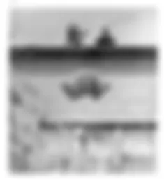 preview_image