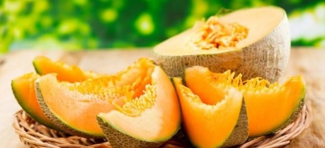 Маринованная дыня