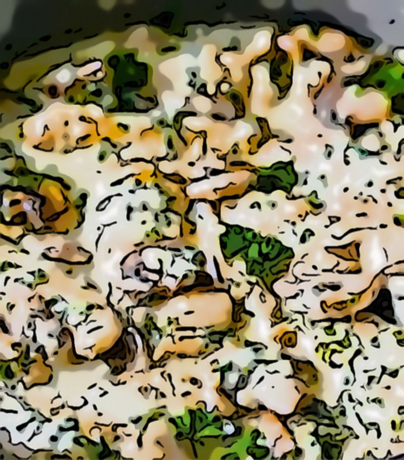preview_image