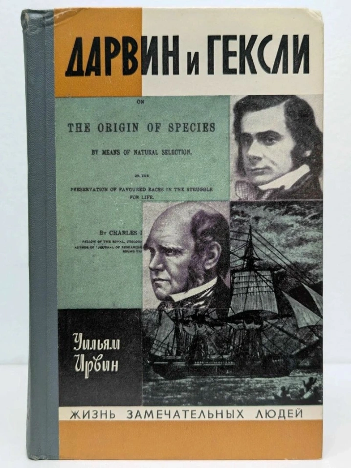 Как дарвинисты дружили с католиками в XIX веке [Эксклюзив]