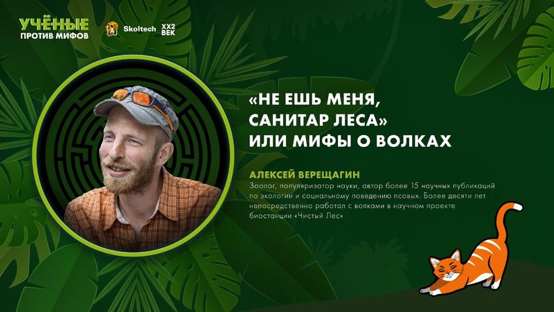preview_image