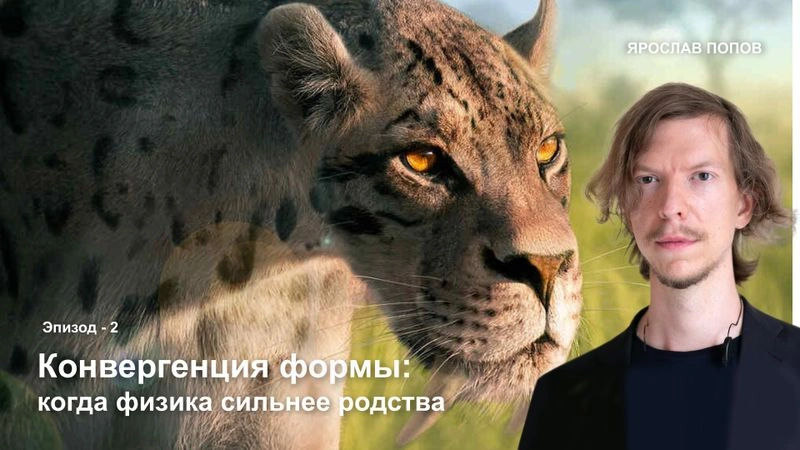 Конвергенция: когда природа себя повторяет. Лекция-2: «Когда физика сильнее родства» [Эксклюзив]