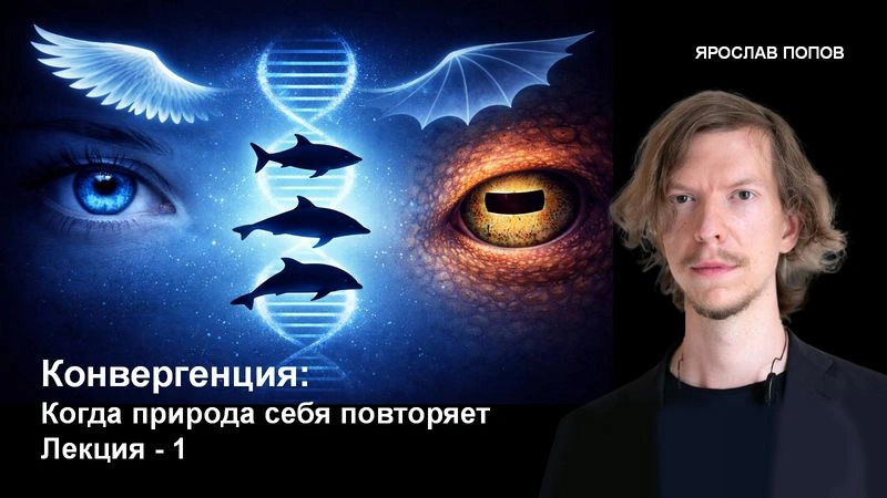 Конвергенция: когда природа себя повторяет. Лекция-1: «Плагиат или гениальная необходимость?» [Эксклюзив]