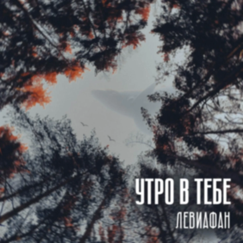 Утро в тебе — Левиафан