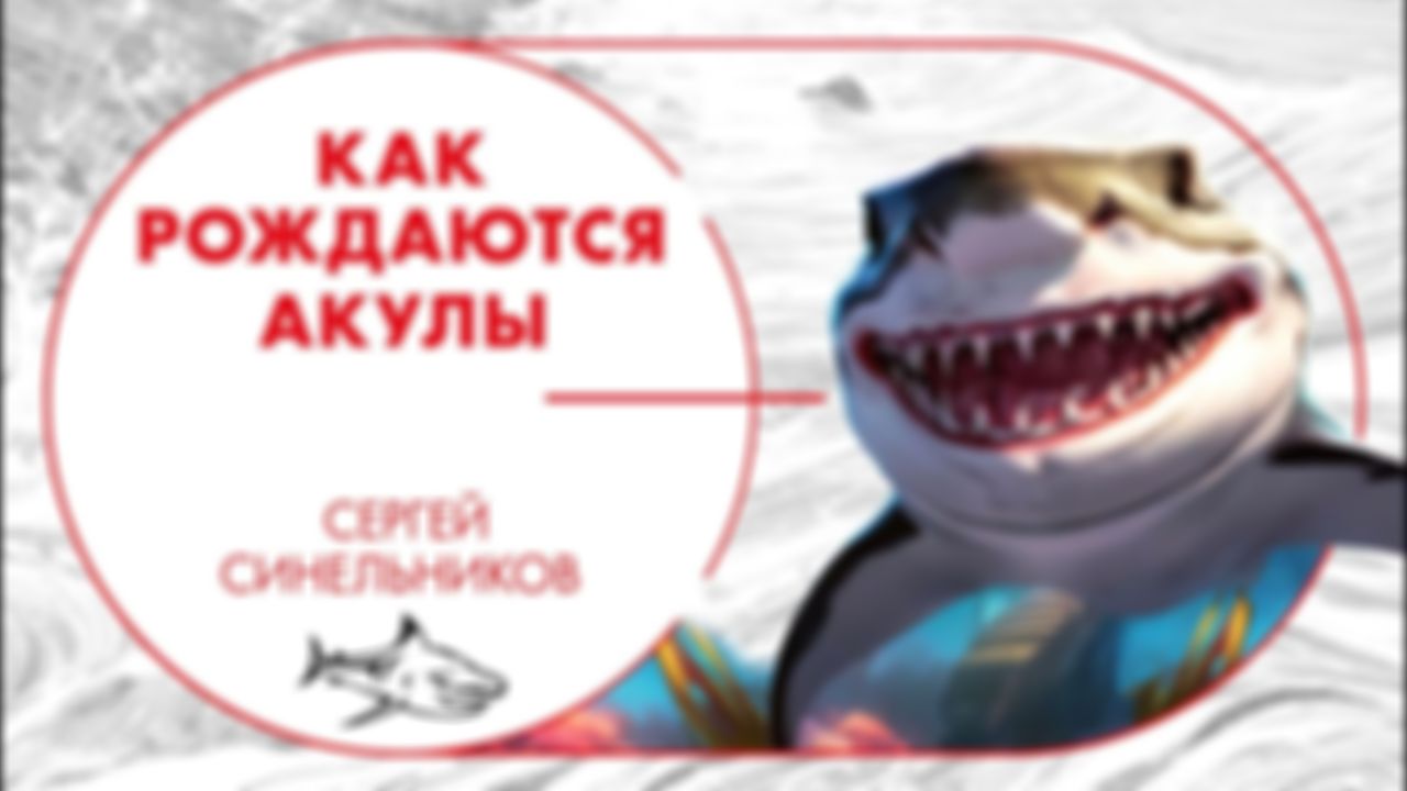 preview_image