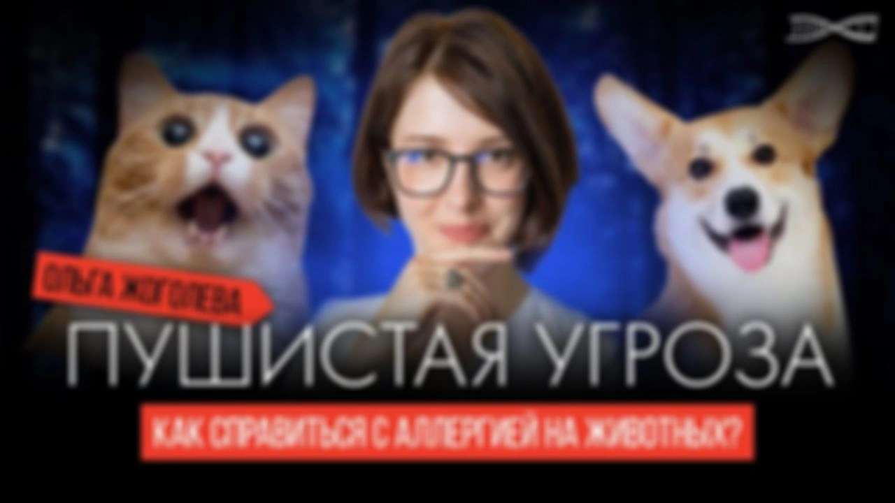 Ранний доступ