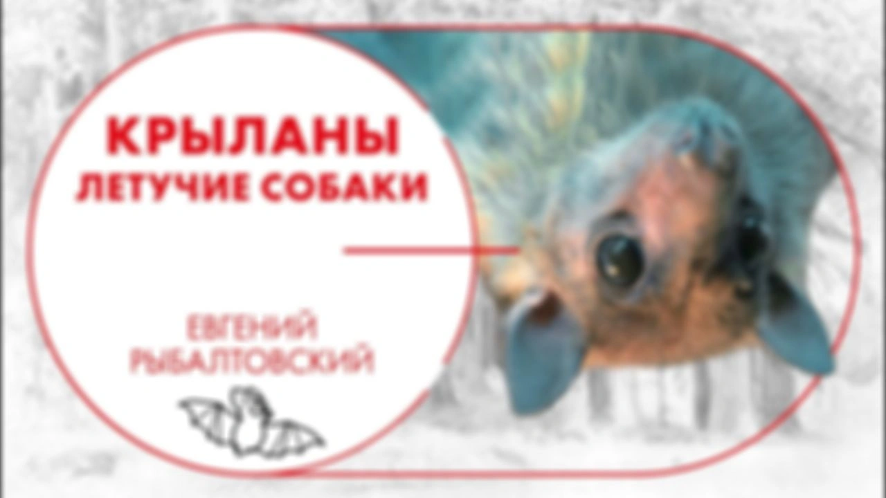 Ранний доступ