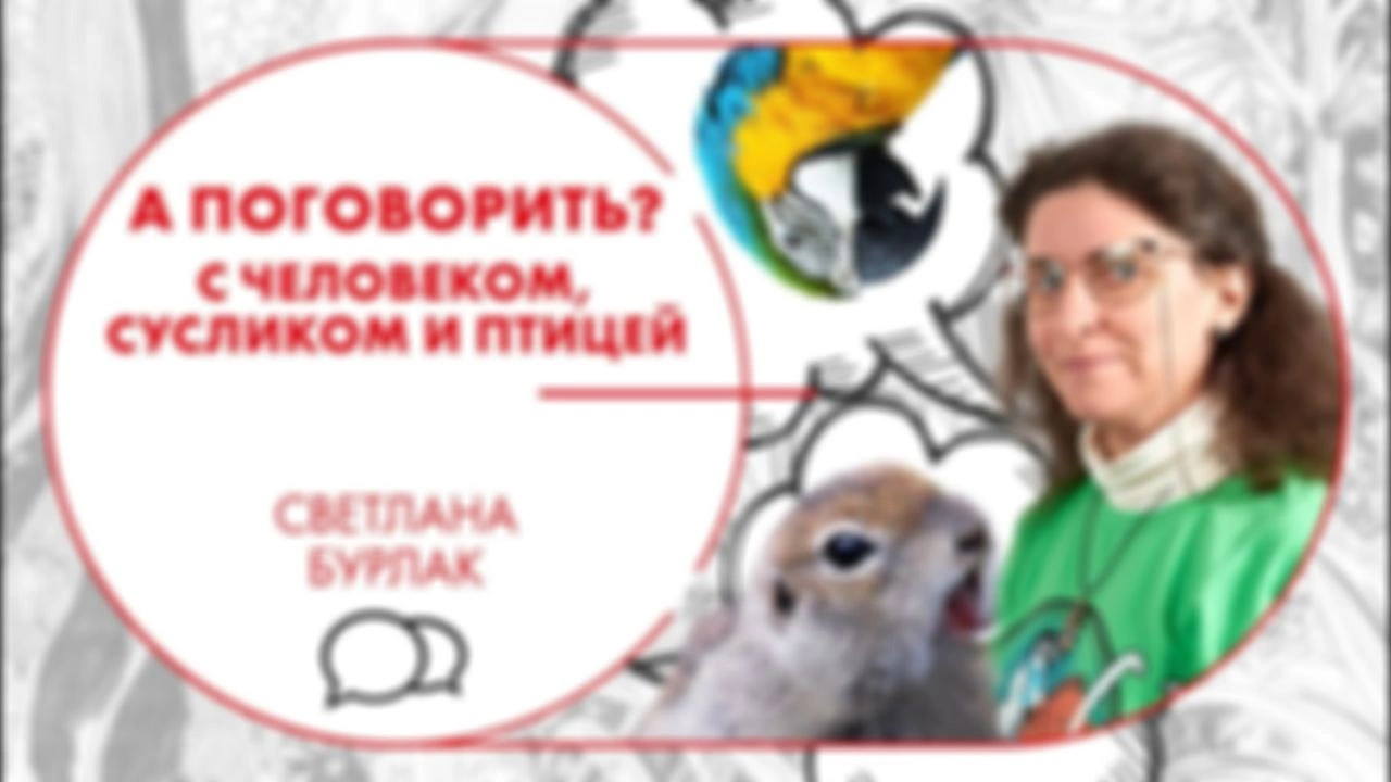 Ранний доступ
