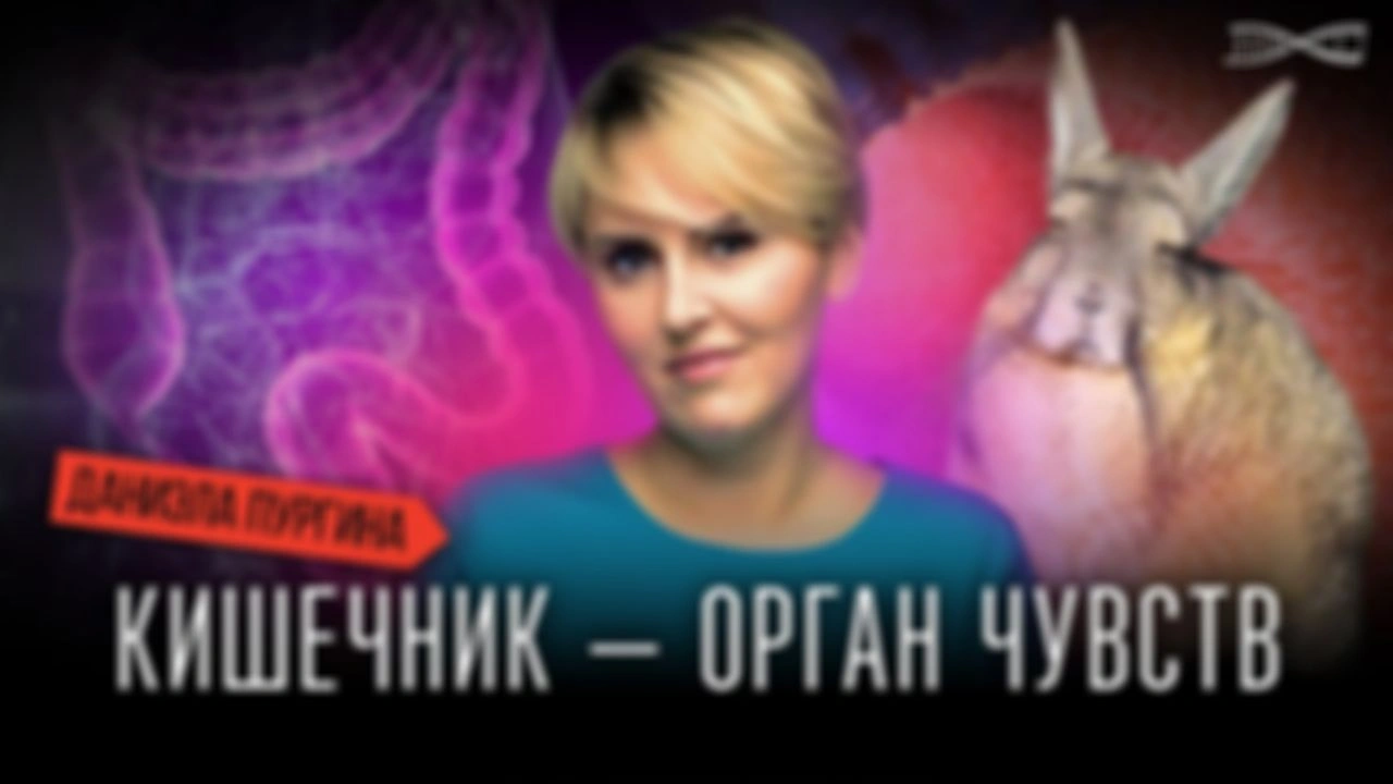 Ранний доступ