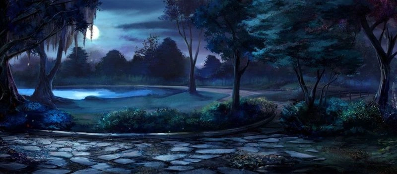 Тёмная душа. Глава 19. Вариант решения