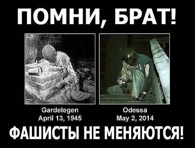 Бацилла рагулизма определяет судьбу захваченного социума
