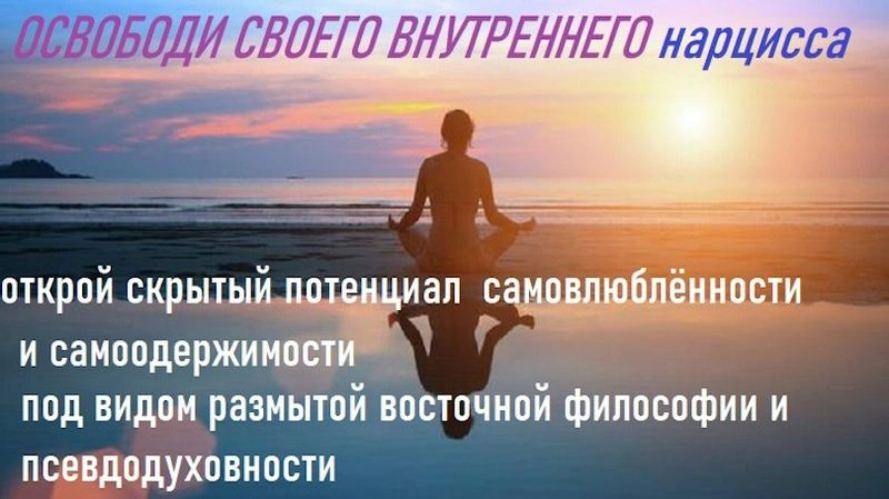 Эльфийские хроники: жители XXI века переезжают в волшебное королевство