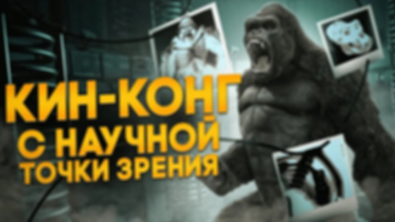 Может ли существовать млекопитающее размером с Кинг-Конга?