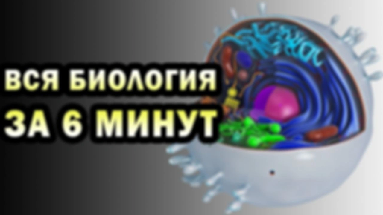 БИОЛОГИЯ ЗА 6 МИНУТ