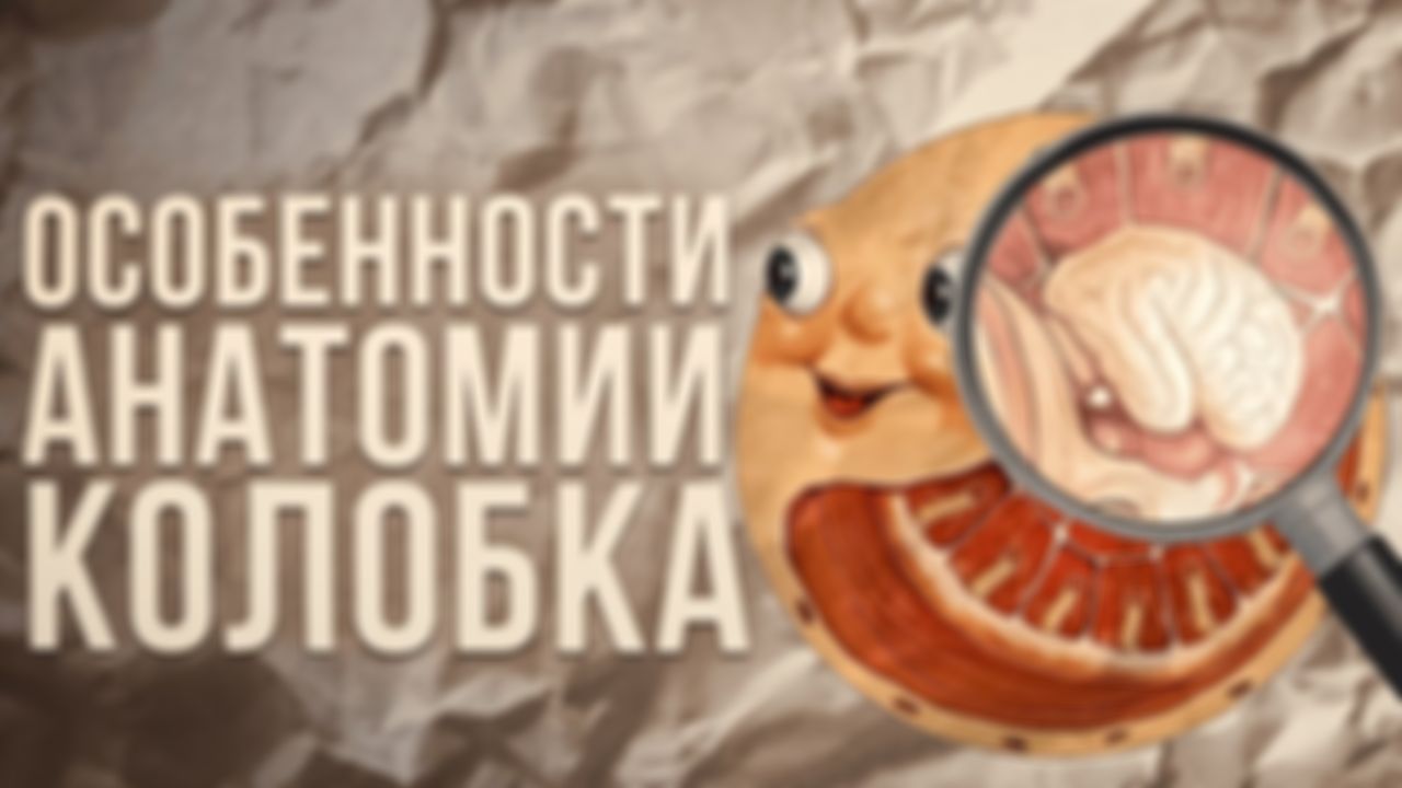 preview_image