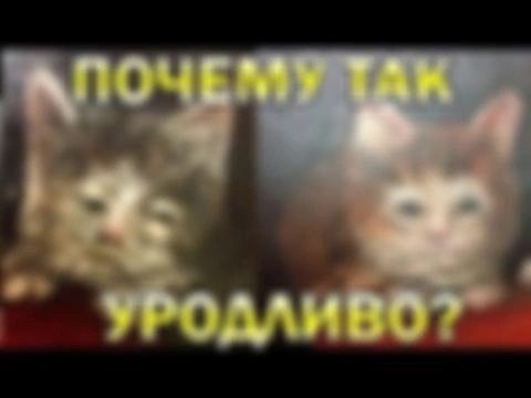 Секрет средневековых котов