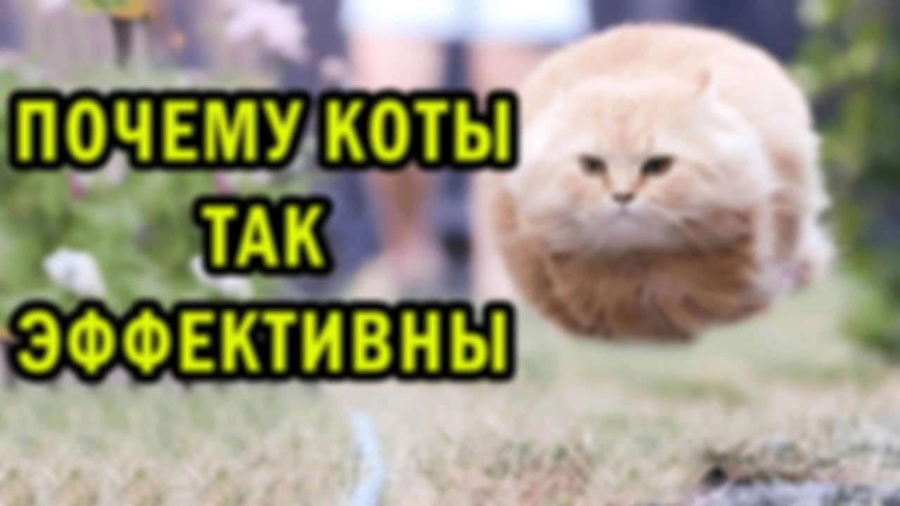 Самая милая имба в мете | Земля — это игра