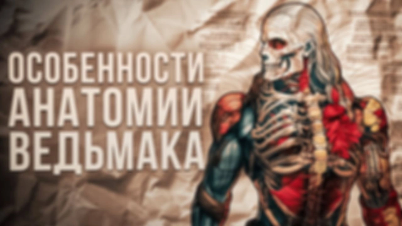 Отличия физиологии ведьмака от обычного человека