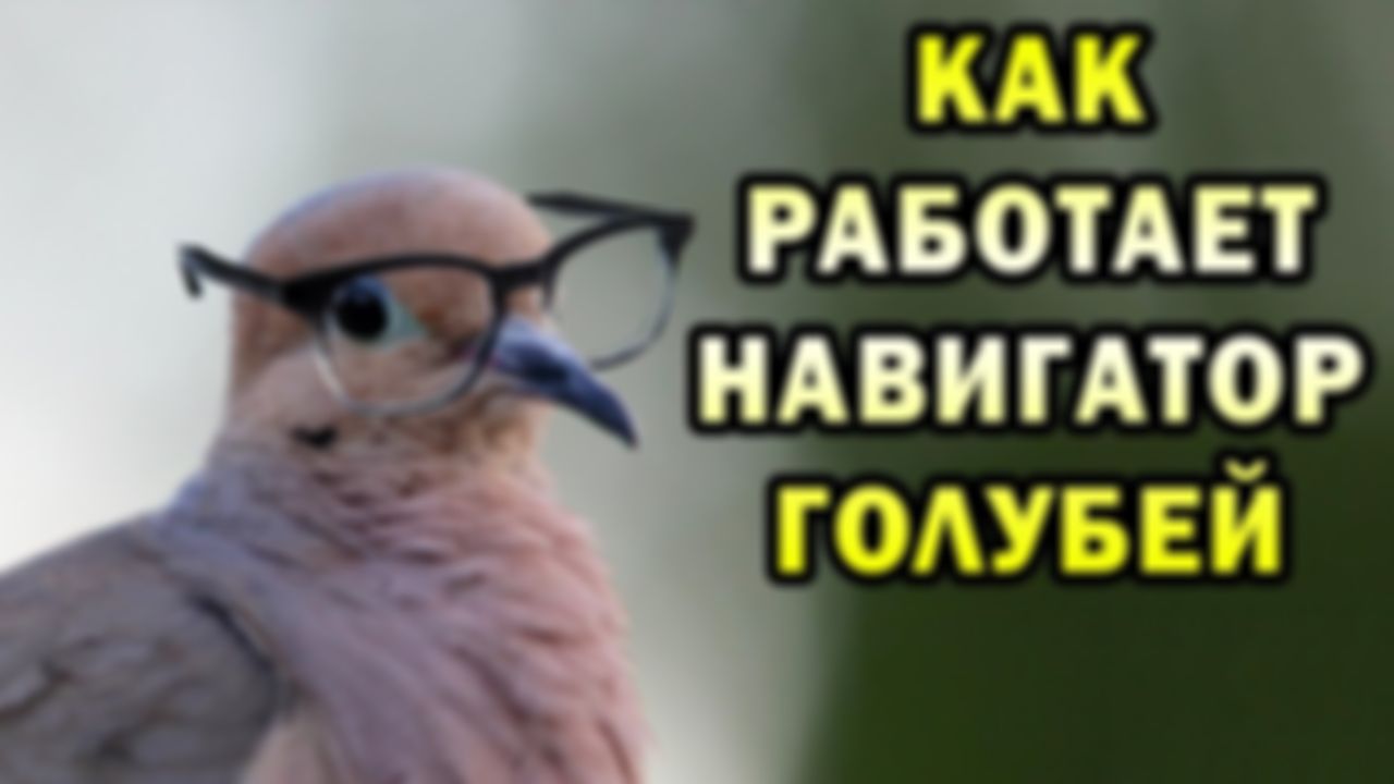 preview_image