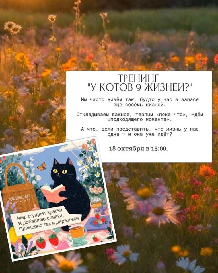 — 18 октября в 15:00
🐈 Тренинг «У котов 9 жизней?»