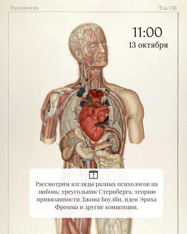 — 13 октября в 11:00
Лекция «Анатомия чувств: как психологи объясняют любовь»