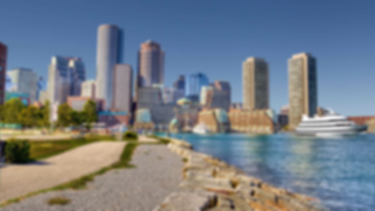 preview_image