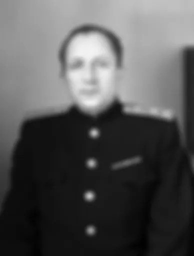 preview_image