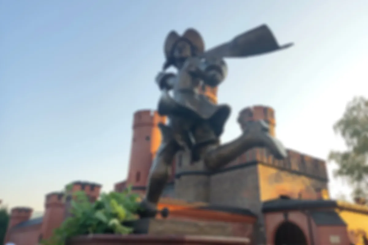 preview_image