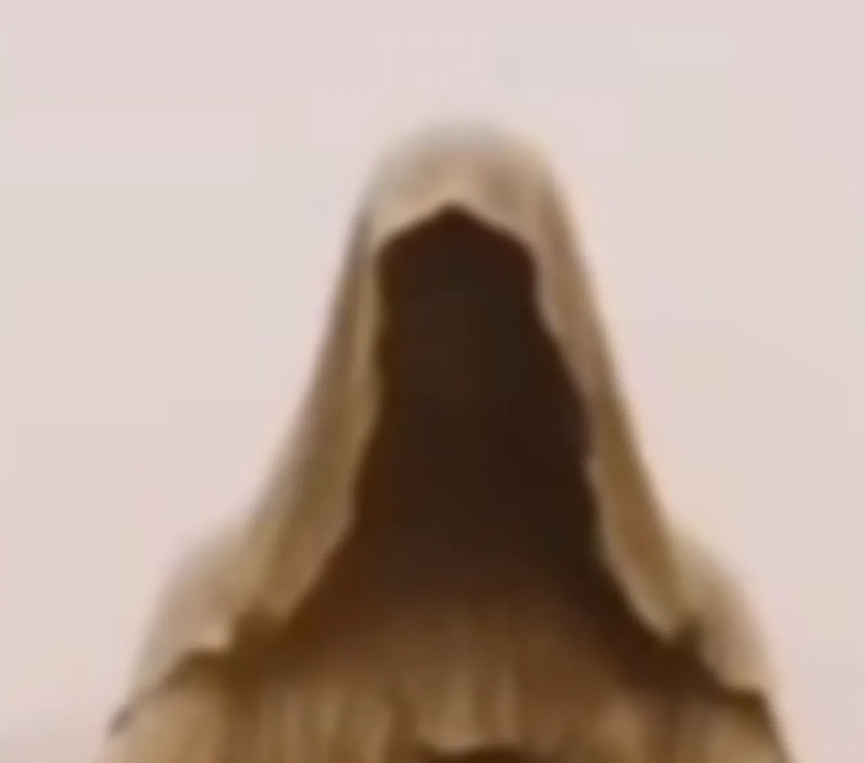 preview_image