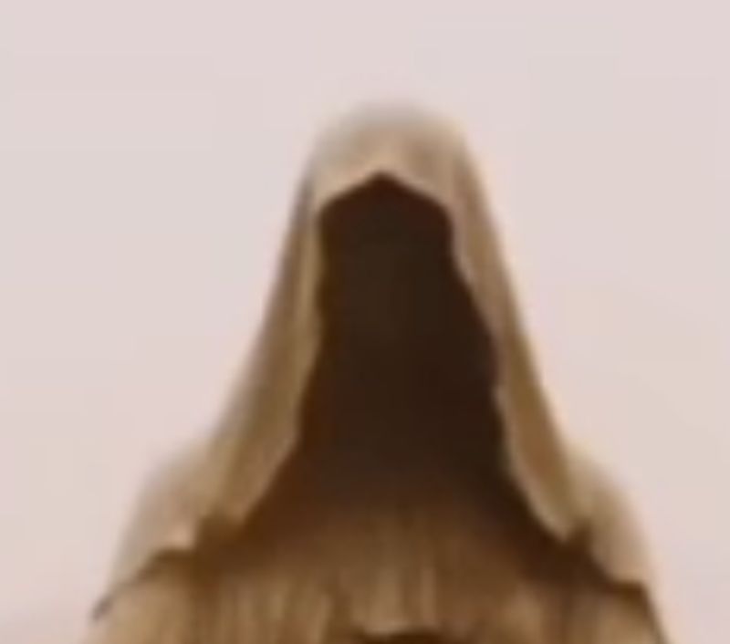 preview_image