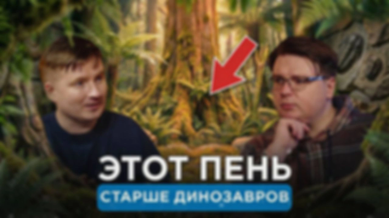 Пень возрастом 385 млн лет: что нашли в русской земле?