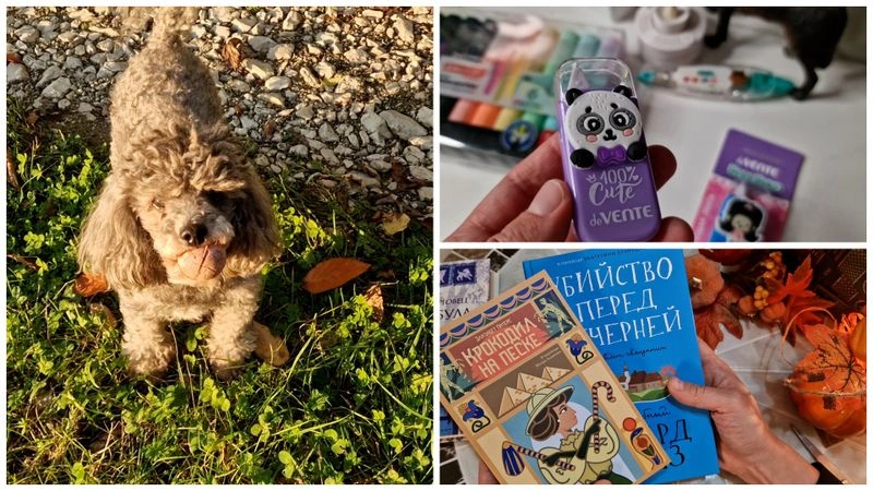 ВЛОГ. НОВЫЕ КНИГИ, НОВАЯ КАНЦЕЛЯРКА