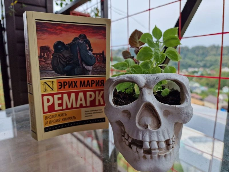 СОВМЕСТНЫЕ ЧТЕНИЯ. РЕМАРК. Ч2