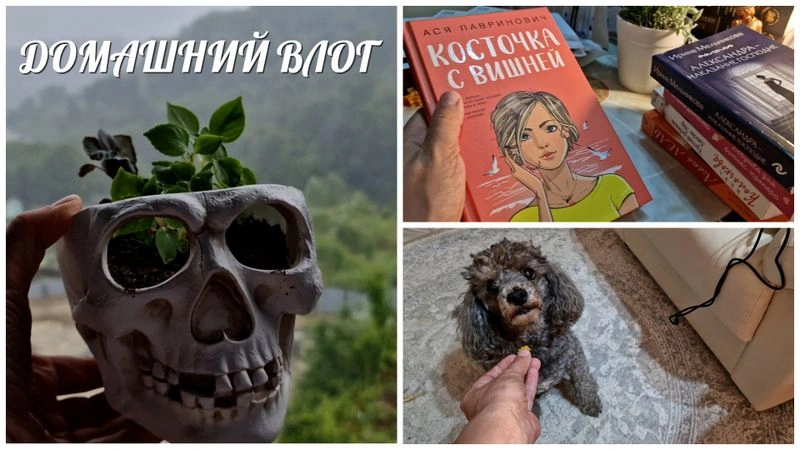 ДОМАШНИЙ ВЛОГ. НОВЫЕ КНИГИ, РАСПАКОВКА