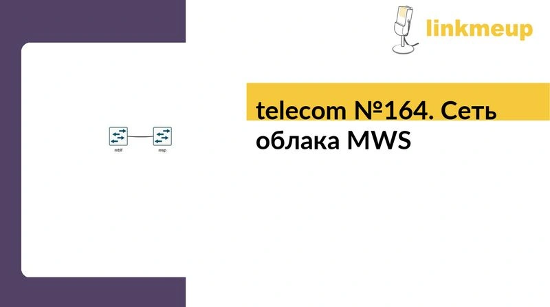 telecom № 164. Сеть облака MWS