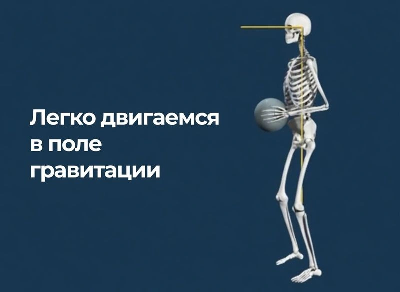 Как легко двигаться в поле гравитации: diving pattern vs ducking pattern. Синдром сжатия позвоночника: как образуется, последствия и как предотвратить [Видео]