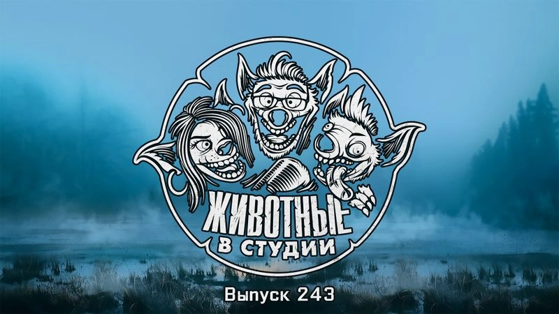 Выпуск 243. Осенний Игропад и Миротворческая созависимость