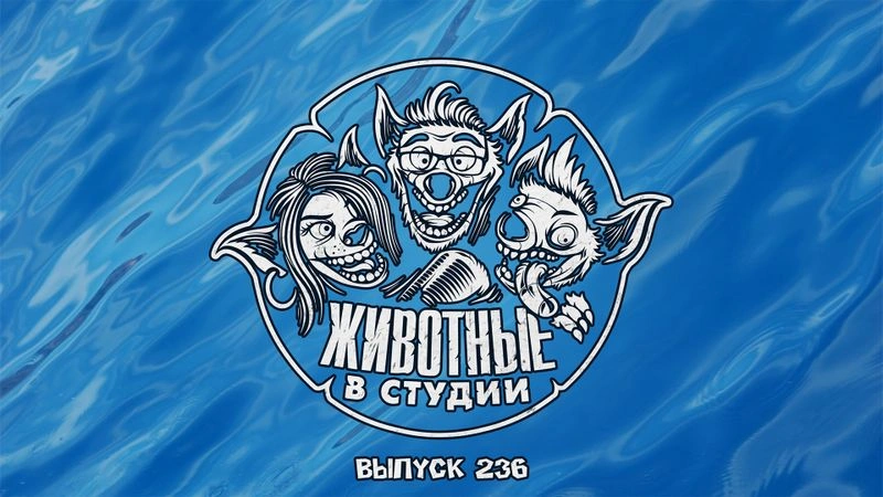 Выпуск 236. Миссия Лило и Стича: Дожить до Пункта Назначения