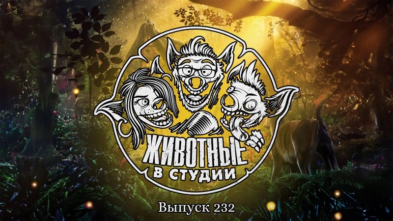 Выпуск 232. Белоснежка и два Свитча