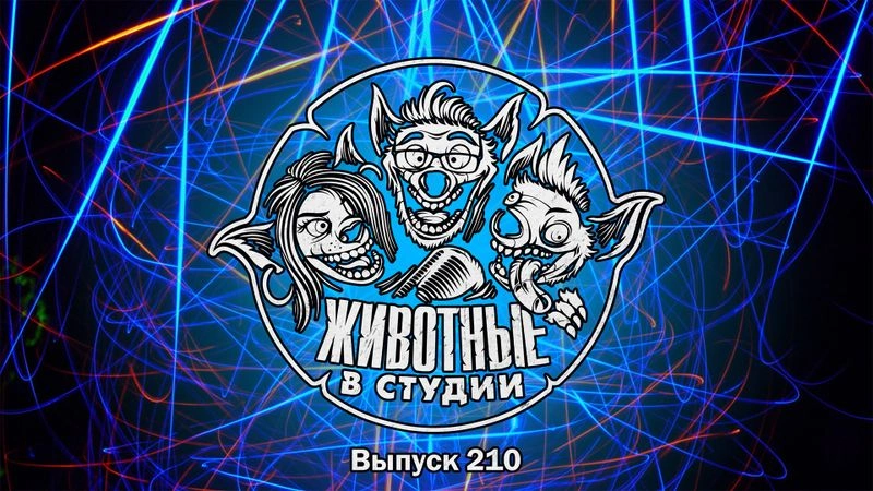 Выпуск 210. Сексуализируй это