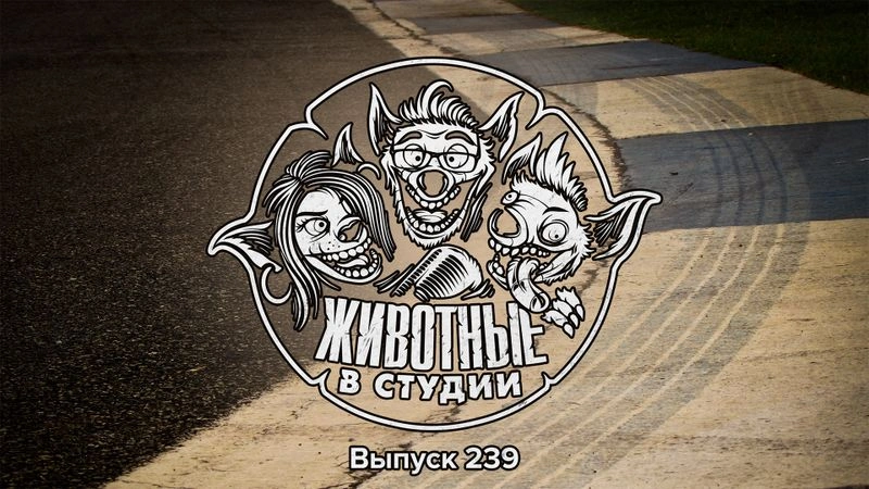 Выпуск 239. Формула Падения Гангстерленда